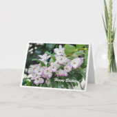 Orchideeën Verjaardag Kaart (Voorkant)