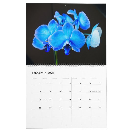 Orchideeën wandkalender kalender (Feb 2026)