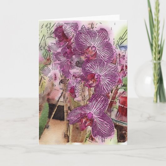  orchideeën Wenskaart Kaart (Voorkant)