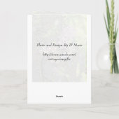 Orchideeën Wenskaart Kaart (Achterkant)