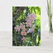 Orchideeën Wenskaart Kaart (Voorkant)