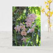 Orchideeën Wenskaart Kaart (Gele Bloem)