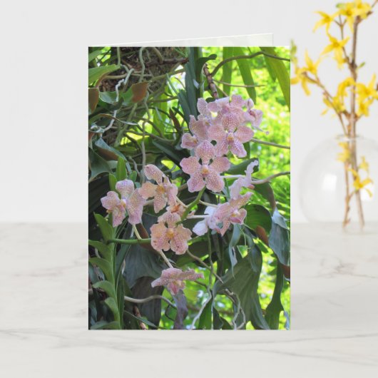 Orchideeën Wenskaart Kaart (Gele Bloem)