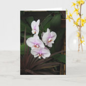 Orchideeën Wenskaart Kaart (Gele Bloem)