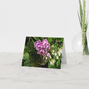 Orchideeën Wenskaart voor alle Gelegenheden Kaart