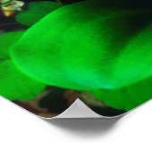 Orchideeën wilde bloemen poster (Hoek)