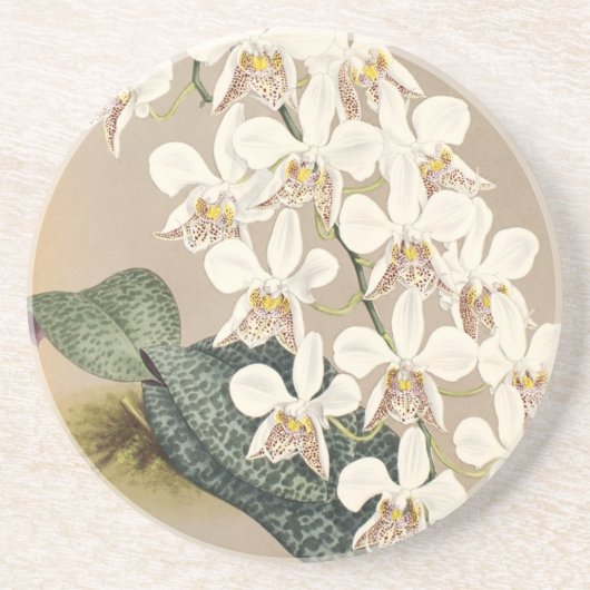 Orchideeën Zandsteen Onderzetter (Voorkant)