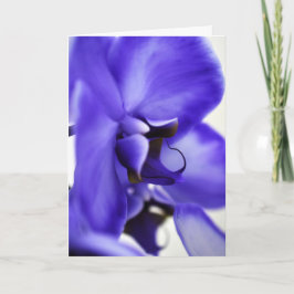 Orchideeënbloei bloemenfotografie, 5x7 wenskaart kaart