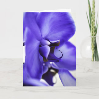 Orchideeënbloei bloemenfotografie, 5x7 wenskaart kaart