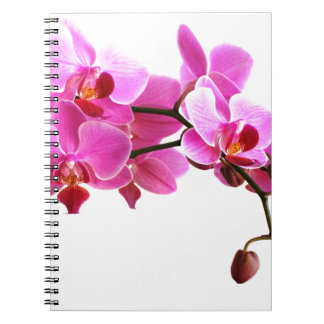 Orchideeënboek Notitieboek