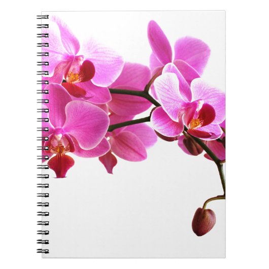 Orchideeënboek Notitieboek (Voorkant)