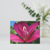 Orchideeënboom Bloesem Tropische Bloemen Briefkaart (Staand voorkant)