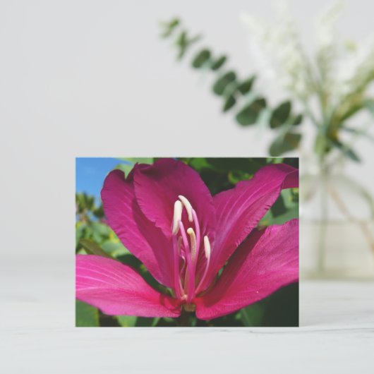 Orchideeënboom Bloesem Tropische Bloemen Briefkaart (Staand voorkant)