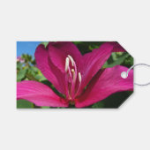 Orchideeënboom Bloesem Tropische Bloemen Cadeaulabel (Voorkant (Horizontaal))