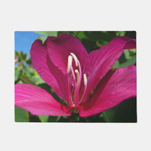 Orchideeënboom Bloesem Tropische Bloemen Deurmat (Voorkant)