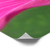 Orchideeënboom Bloesem Tropische Bloemen Poster (Hoek)