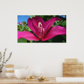 Orchideeënboom Bloesem Tropische Bloemen Poster (Keuken)