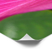 Orchideeënboom Bloesem Tropische Bloemen Poster (Hoek)