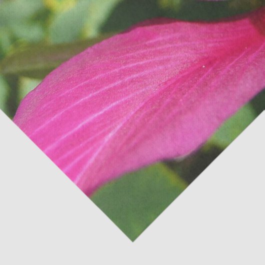 Orchideeënboom Bloesem Tropische Bloemen Tissuepapier (Detail)