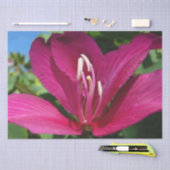 Orchideeënboom Bloesem Tropische Bloemen Tissuepapier (Craft)