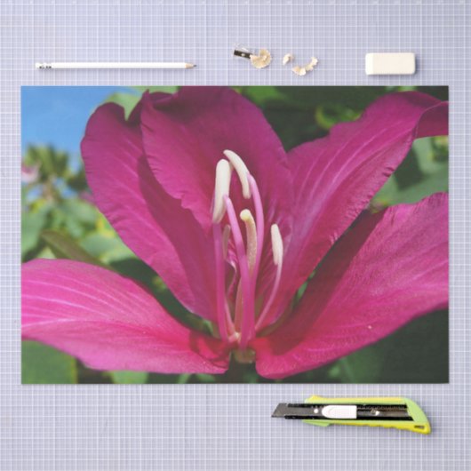 Orchideeënboom Bloesem Tropische Bloemen Tissuepapier (Craft)