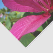 Orchideeënboom Bloesem Tropische Bloemen Tissuepapier (Detail)