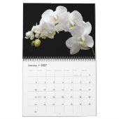 Orchideeënkalender middelgroot formaat kalender (Jan 2027)