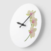 Orchideeënklok Grote Klok (Hoek)