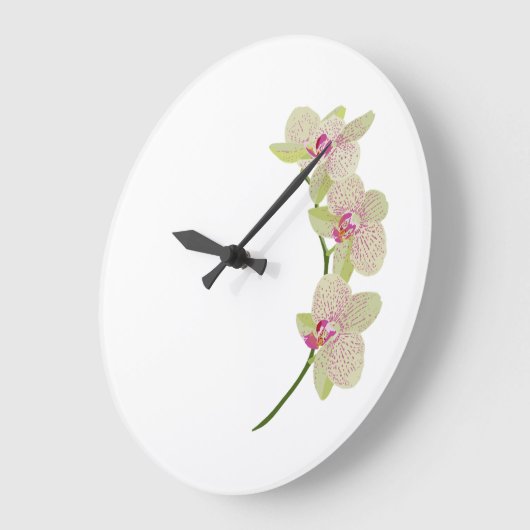 Orchideeënklok Grote Klok (Hoek)
