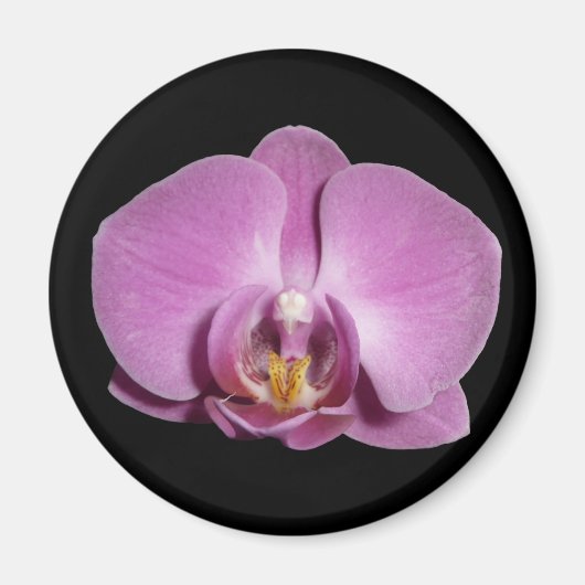 orchideeënmagneet magneet (Voorkant)