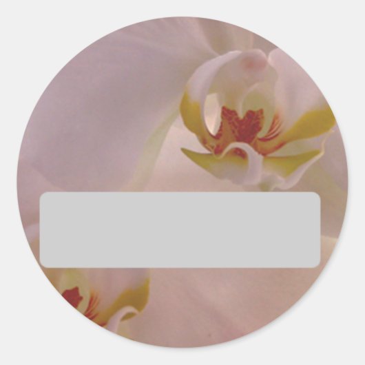 Orchideeënnaam Sticker (Voorkant)