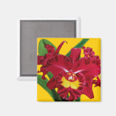 Orchideeënolie op canvasmagneten magneet (Voorkant / Achterkant)