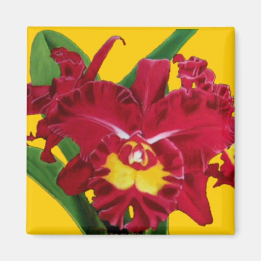 Orchideeënolie op canvasmagneten magneet (Voorkant)