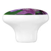 Orchideeëntrekkracht Keramische Knop (Zijkant)