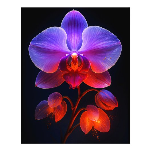 Orchideen Blüte im Strahlendem Licht Foto Afdruk (Voorkant)