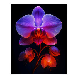 Orchideen Blüte im Strahlendem Licht Perfect Poster