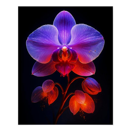 Orchideen Blüte im Strahlendem Licht Perfect Poster (Voorkant)