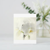 Orchideen Briefkaart (Staand voorkant)