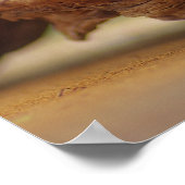 Orchideen Wellness Oase Poster (Hoek)