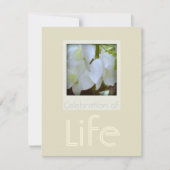 Orchids 1 Viering van de begrafenis van het leven Kaart (Voorkant)
