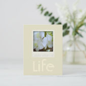 Orchids 1 Viering van de begrafenis van het leven Kaart (Staand voorkant)