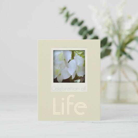 Orchids 1 Viering van de begrafenis van het leven Kaart (Staand voorkant)