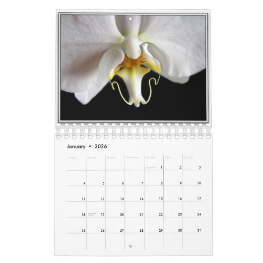 ORCHIDS 2011 KALENDER (Jan 2026)