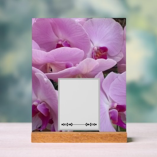 Orchids Acryl Bord (Neutraal)
