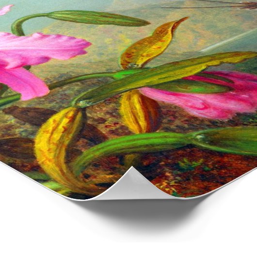 Orchids and Hummingbirds by Martin Johnson Heade Poster (Hoek)
