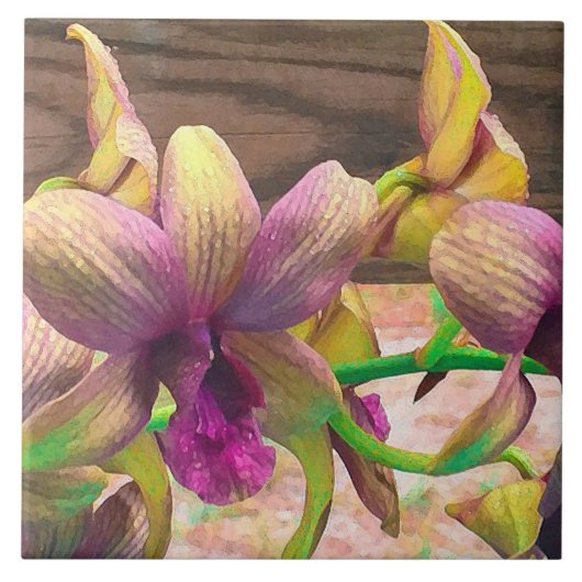 Orchids Blooming Tegeltje (Voorkant)