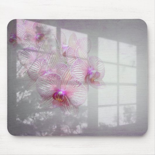 Orchids Blossom op Window Shadow Muismat (Voorkant)