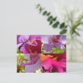 Orchids Cairns Botanic Gardens Briefkaart (Staand voorkant)