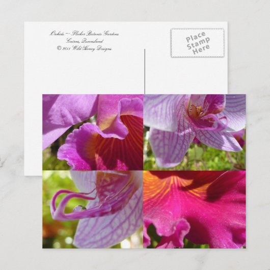 Orchids Cairns Botanic Gardens Briefkaart (Voorkant / Achterkant)