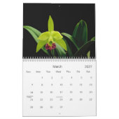 Orchids Calendar Kalender (Mar 2027)
